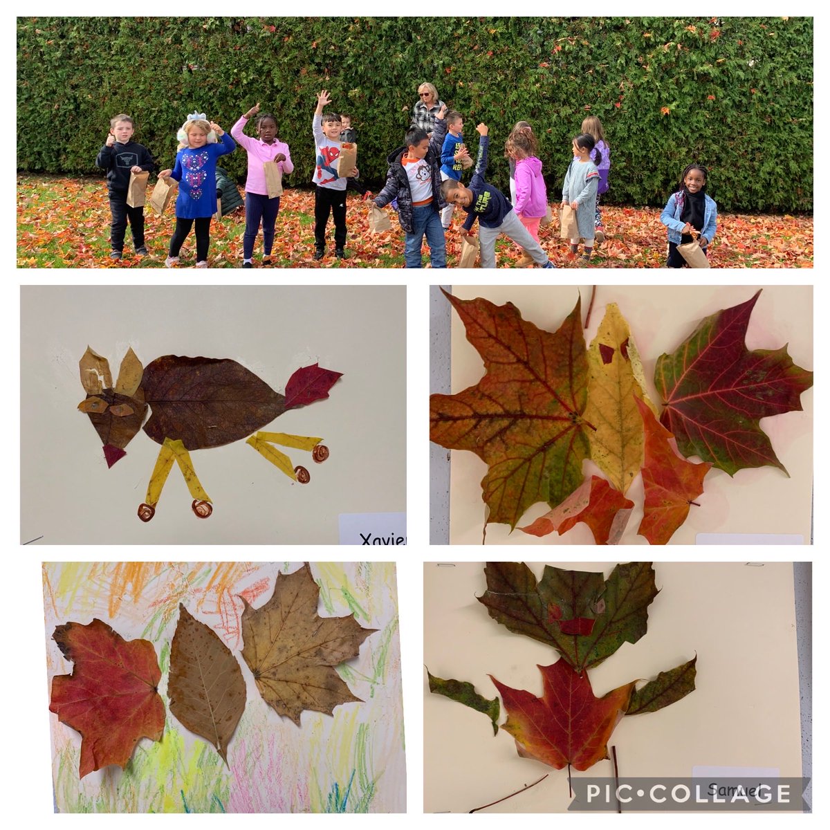 Going on a Fall walk and making Fall art brought us so much joy yesterday afternoon. 🍁🍂🍁🧡 ⁦<a href="/OLWisdomOCSB/">Our Lady of Wisdom School</a>⁩