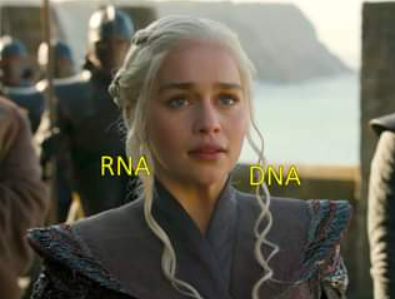 DNA_RNA_Uni's tweet photo. https://t.co/EVP0HCFAca