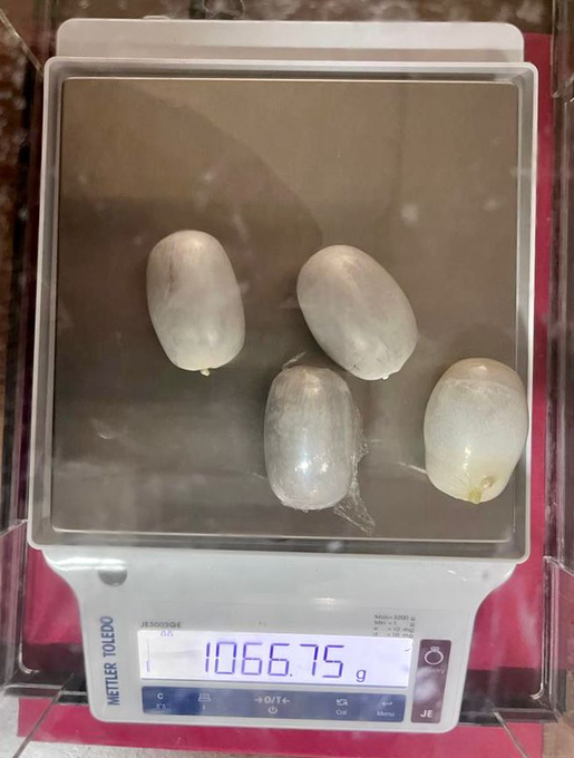 GulistanNewsTV's tweet photo. #AirIntelligenceUnit intercepted a passenger from Koduvally, Kozhikode district at @KochiAirport who travelled by #Indigoflight from Doha. Four capsule-shaped packets containing gold weighing 1066.75 gms, concealed in the rectum were recovered from the passenger: Customs https://t.co/w9r07oJwO1