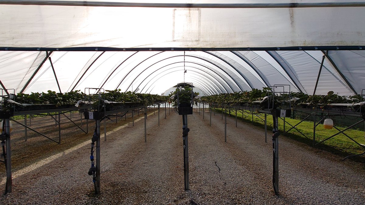 Becky Dodds (@beckyagritech) on Twitter photo Had a great time this morning with members @Eagle_Labs_Farm <a href="/LIATLincoln/">Lincoln Institute for Agri-Food Technology (LIAT)</a> discovering all the work taking place in robotics, data and in the field among other things! So much going on its been a fascinating morning Had a great time this morning with members @Eagle_Labs_Farm <a href="/LIATLincoln/">Lincoln Institute for Agri-Food Technology (LIAT)</a> discovering all the work taking place in robotics, data and in the field among other things! So much going on its been a fascinating morning