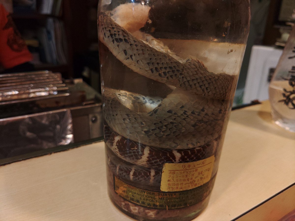 通常在庫品 三蛇酒 ハブ酒 - 通販 - axonsolution.com