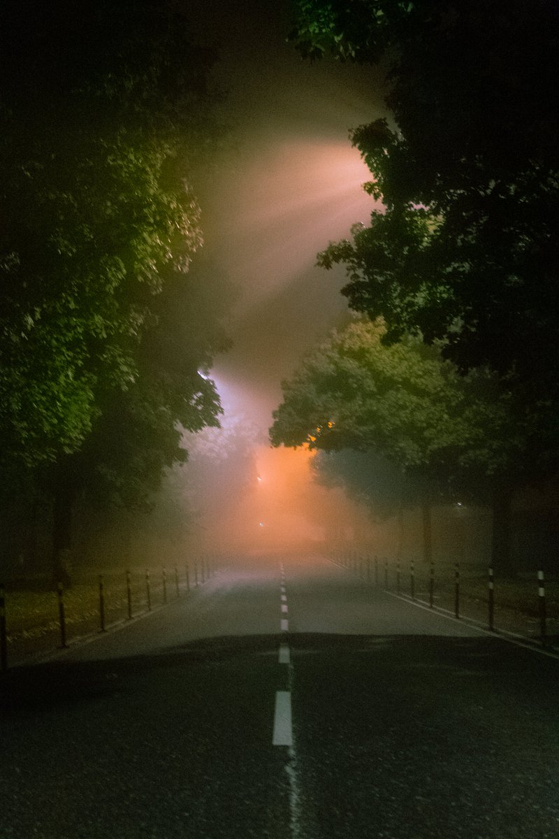 artofseanmurphy's tweet photo. The Light To Guides Us All https://t.co/EPWcrZ4XN9