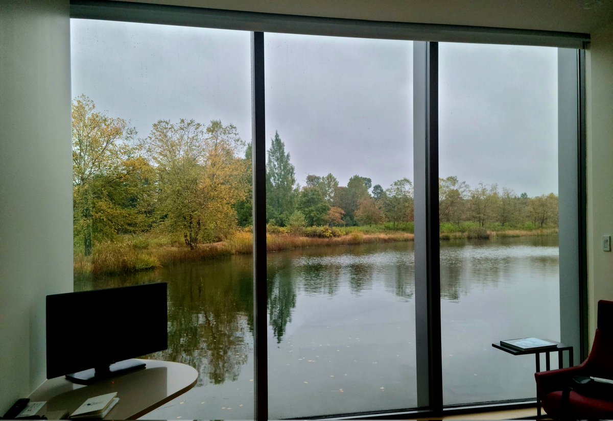 TinaAdele13's tweet photo. Kicked off the 4D Cellular Physiology Symposium @HHMIJanelia last night! I woke up to a beautiful rainy day view this morning in the incredible on-site accommodations. Looking forward to the poster discussion tonight 🔬 @stjudegraduate @StJudeResearch https://t.co/LUMMx2VTIf