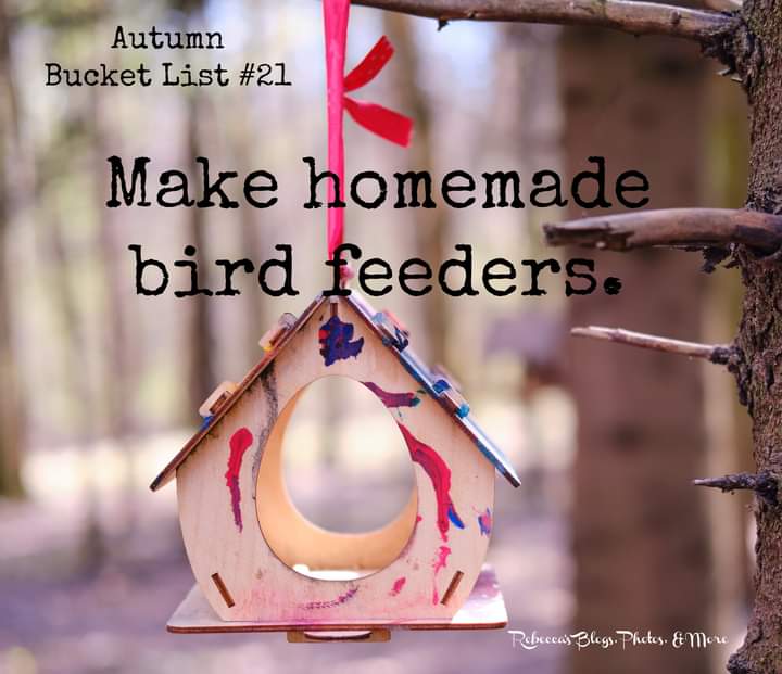 RebeccaCaesar87's tweet photo. I love feeding the birds. #autumnbucketlist #autumn2022 #autumn #feedthebirdsπ¦ #birds #diy https://t.co/sflWIwBf8e