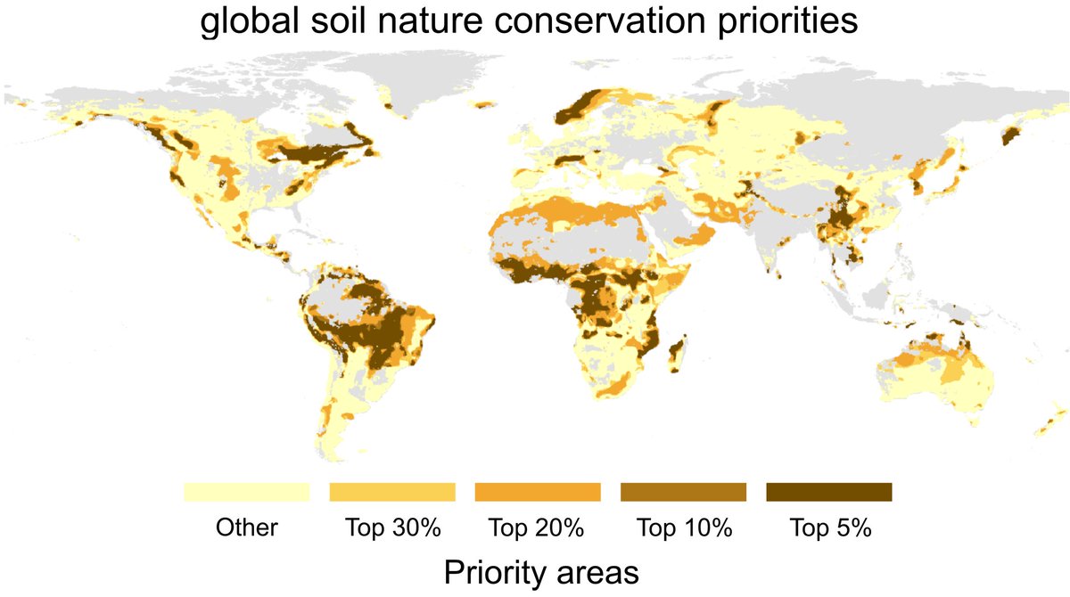 Soil life must be protected! A new <a href="/Nature/">nature</a> paper shows we are not doing it properly and tells us areas requiring particular attention.

Time to act🦠🍄🐜🪱🤎

nature.com/articles/s4158…