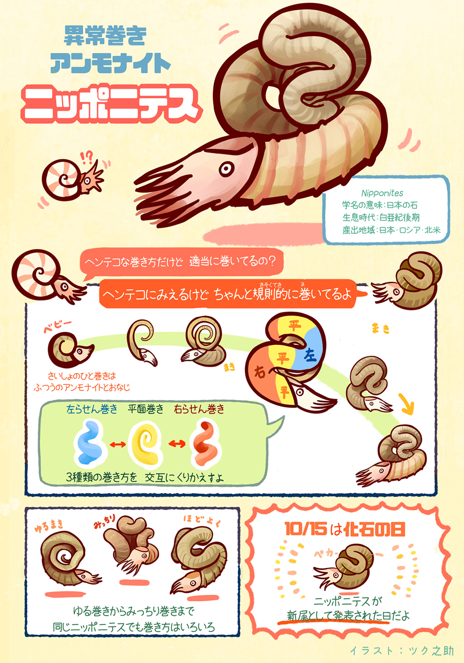 ニッポニテス Nipponites アンモナイト 異常巻 異常巻き 化石 ニッポ