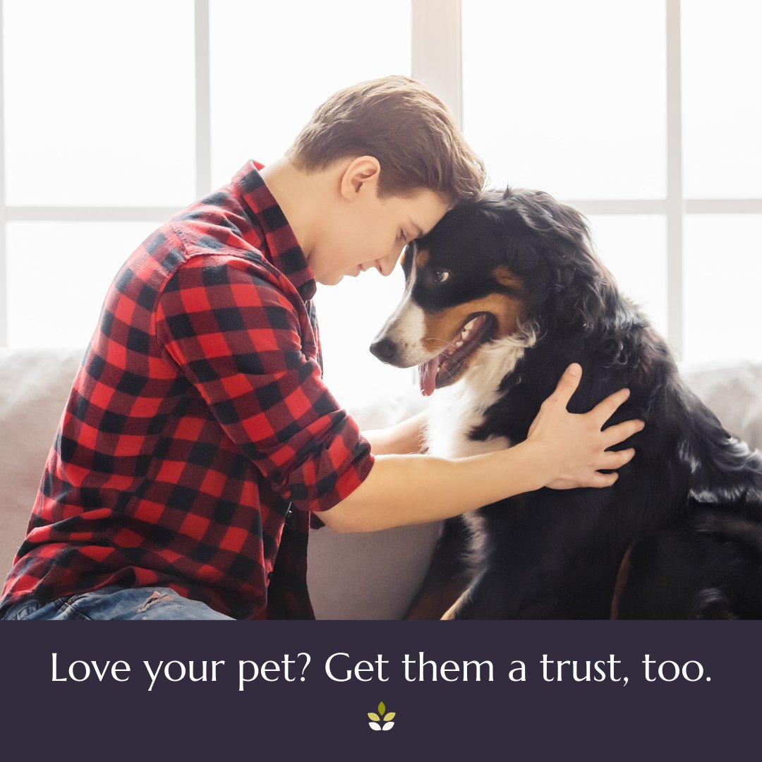 MyAdvocateCo's tweet photo. Don't forget Fido! Learn more about the most famous pet trust of all while you get started on your plan: https://t.co/waXm4aKI8Y 

#estateplan #estateplanning #willsandtrusts #writeawill #myadvocate #retirement #pets #pettrust #dogs #cats https://t.co/NSx5nNnVT1