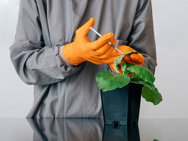 Norwich Research Park (@norwichresearch) on Twitter photo A new job opportunity has become available for a Process Development Scientist/Protein Scientist at <a href="/leaf_expression/">Leaf Expression Systems 🌱🧪</a>, a biotech company based at Norwich Research Park. Application Deadline: 28th October
Learn more: bit.ly/3yvQyeG
#sciencecareers #norwichjobs A new job opportunity has become available for a Process Development Scientist/Protein Scientist at <a href="/leaf_expression/">Leaf Expression Systems 🌱🧪</a>, a biotech company based at Norwich Research Park. Application Deadline: 28th October
Learn more: bit.ly/3yvQyeG
#sciencecareers #norwichjobs
