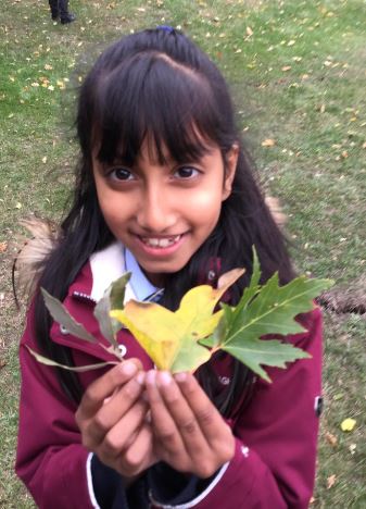 briscoeprimary's tweet photo. Last week in Science, Year 4 went outside to classify leaves. They looked at how many leaves per stem, what the veins look like, the texture and the colour. They were then able to identify the leaves. #scientistsrock https://t.co/dRRw0nljUk