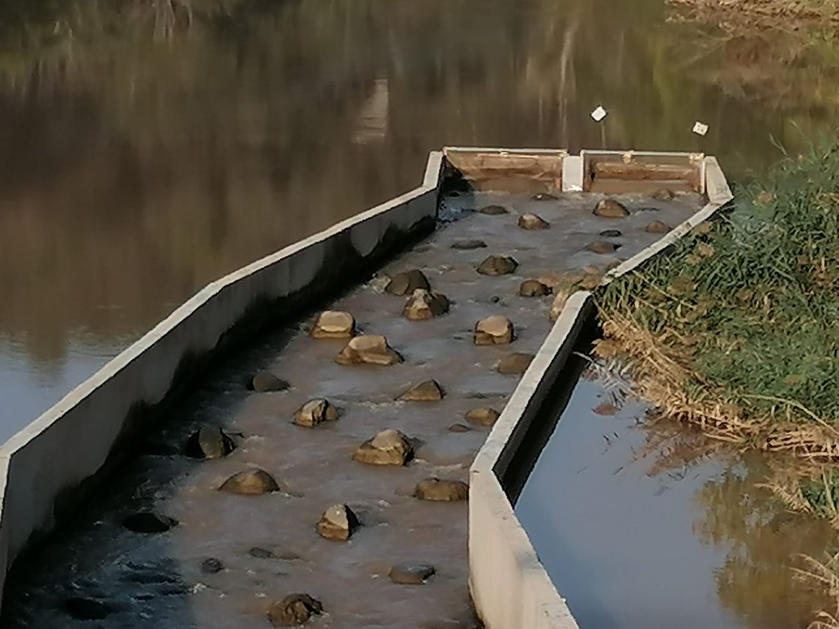 CERM, Centre d'Estudis dels Rius Mediterranis tweet media