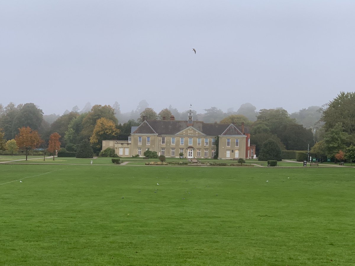 Looks far more stunning  (even in the rain), than the IKEA lookalike school that Surrey Council want it replace it with!