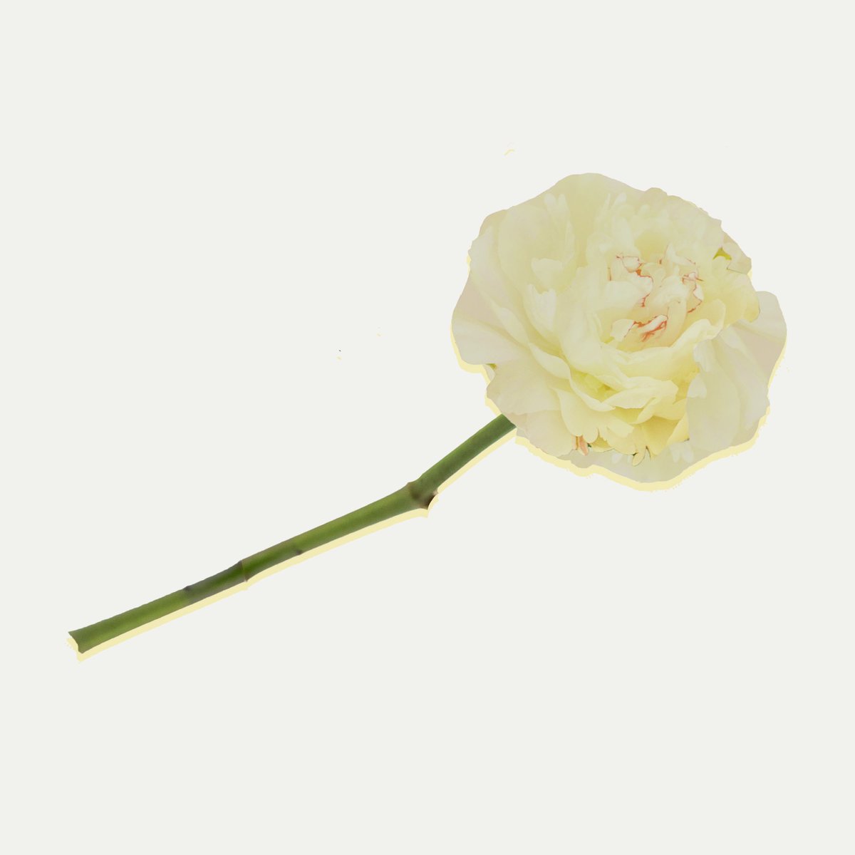 In__Pastel's tweet photo. Oh Well is out now❤️❤️❤️
 https://t.co/t4scOD2MWX https://t.co/ys6BCQ2da0