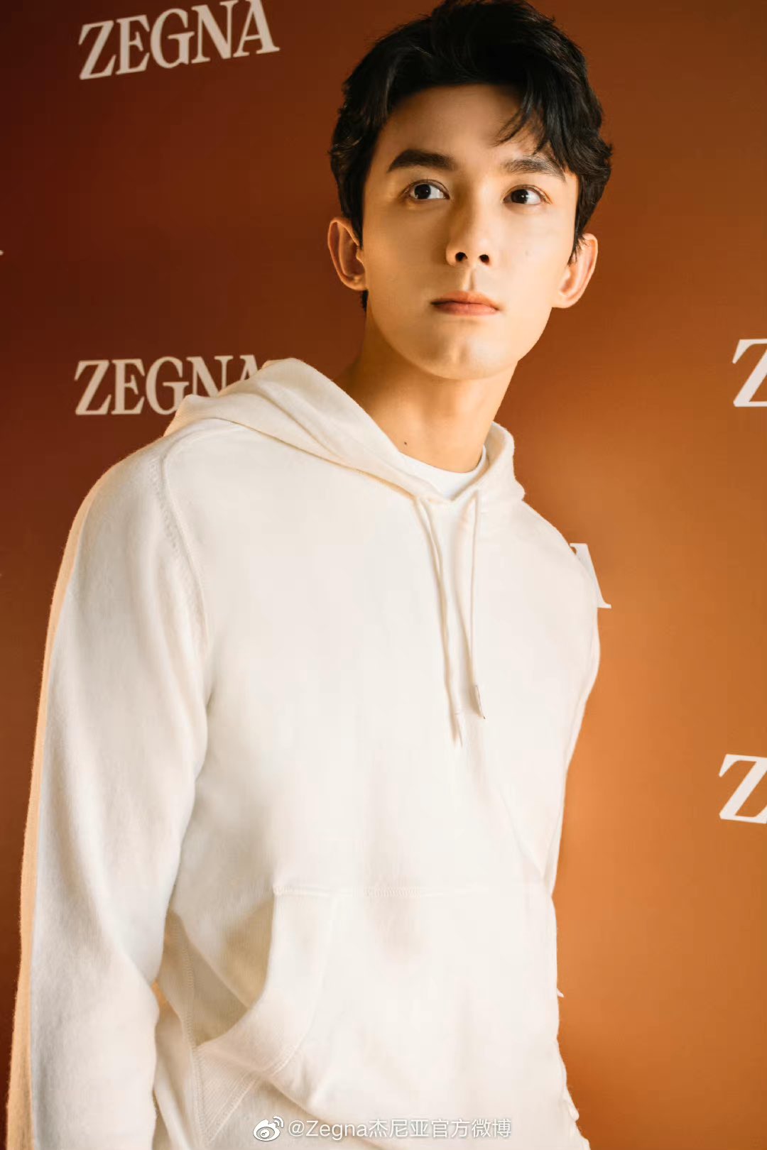 超希少 FENDI Ermenegildo Zegna ロゴ パズル柄 ベスト | www.vp