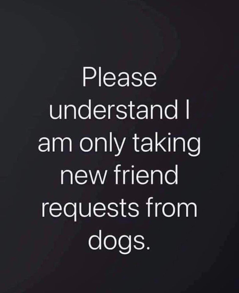 SWESRDogs's tweet photo. #dogs #dogsofinstagram #dogsoftwitter #rescuedogs #friends #friendrequests https://t.co/wr8hCJH8xX