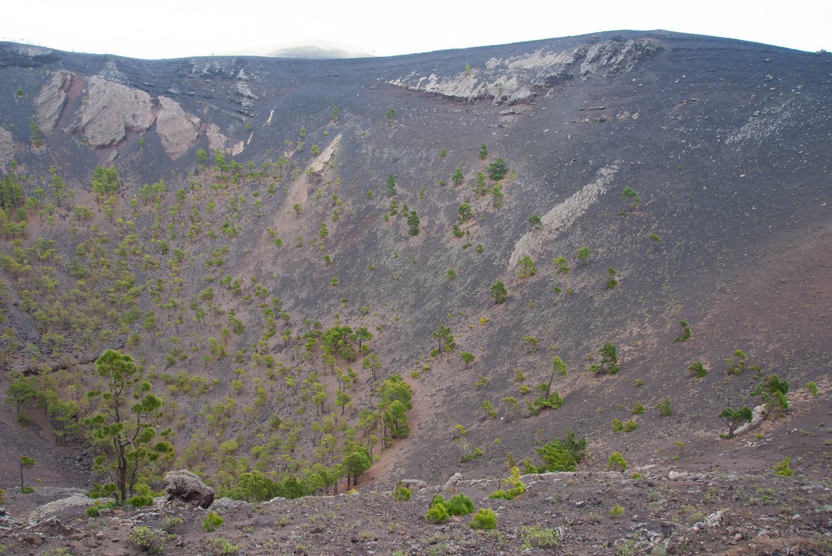 GeologistsCat's tweet photo. Today for #VolcanoThursday: look at the huge vesicles in this piece of #basaltic #lava (ca. 30cm). Vesicles form if pressure drops when #magma ascents & the gas can make #eruptions explosive. This piece may belong to the #Teneguia #volcano that formed in 1971 on #LaPalma
#geology https://t.co/PvUWzO9wa0