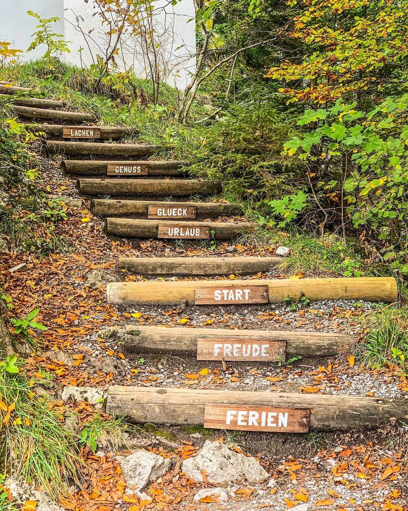 mountienator's tweet photo. Step by step! Schritt für Schritt zum Glück! #mountieontour
#herbst
#rappenlochschlucht
#staufenseestausee
#karren
#vorarlberg
#goldenerherbst
#oktober
#wandern
#hiking
#wanderninvorarlberg
#iphonefotografie https://t.co/Ke2VuV17uK https://t.co/K6JGAJZHHE