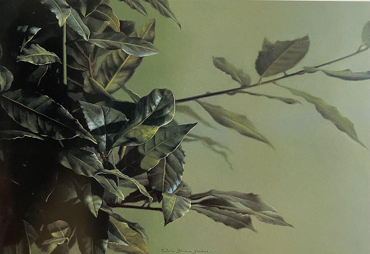 Hoy es un día muy triste, nuestro querido Antonio Blanca Sánchez ha fallecido. Su asombrosa calidad técnica y su inagotable creatividad le llevaron a convertirse en uno de los mejores pintores realistas españoles del que tanto hemos aprendido y disfrutado.