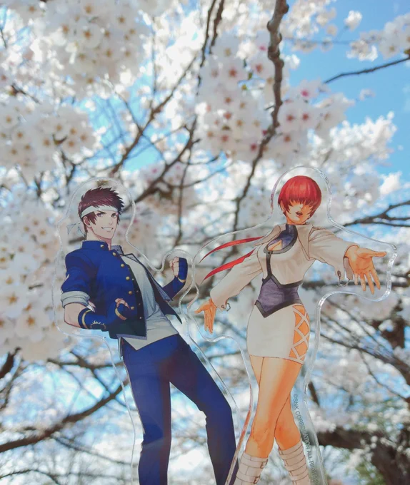 #10月になったのでフォロワーさんに自己紹介しよう 激遅い!推しの矢吹真吾くんとシェルミーちゃんです!よろしくお願いします! 
