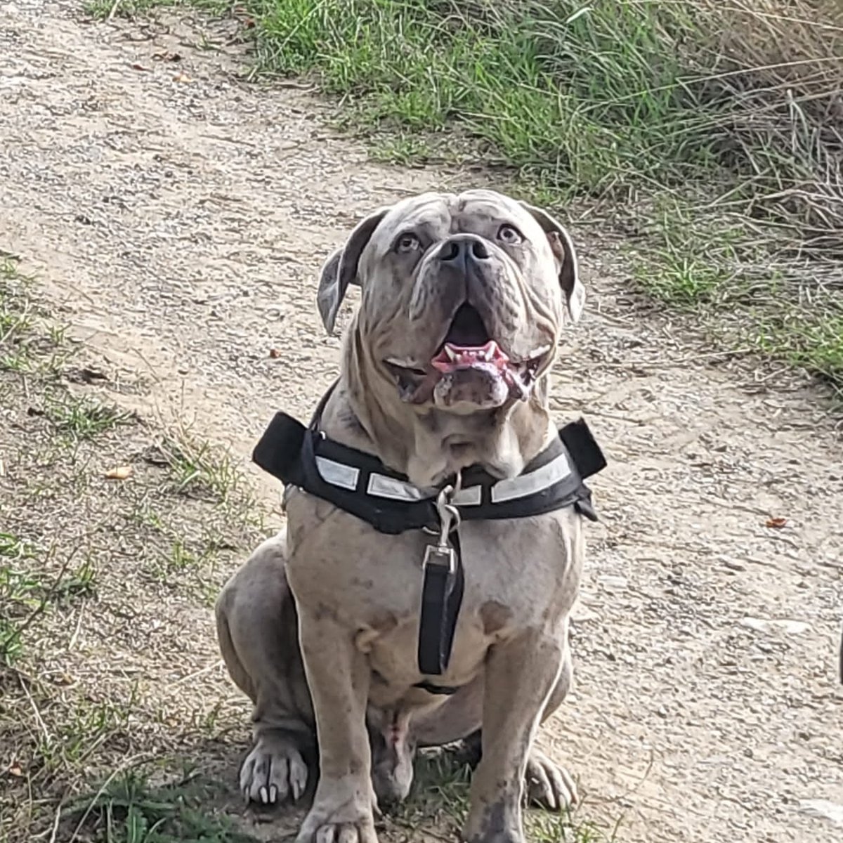 Jamie (@jamie85230511) on Twitter photo 