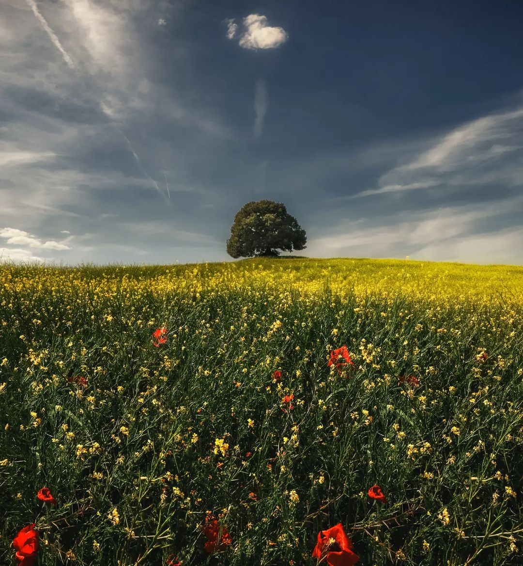 GamerDuo_Chris's tweet photo. What makes you roll your eyes every time you hear it? ❤️

I do not think that there is any other quality so essential to success of any kind as the quality of perseverance 🌟

#NFT #nftphotographer

Inspiration from:
 📸sassolino1477👇 https://t.co/M0GpJMPYJX