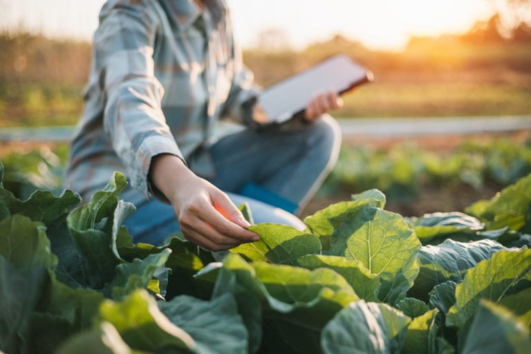 'Farmers are seeking alternative products and technologies that, according to McKinsey, 'squeeze the most value from each acre'.' Our Zone Economics platform helps you do just that. #Conservis #agtech #farmmanagementsoftware bit.ly/3xZcXAU @AgFunder