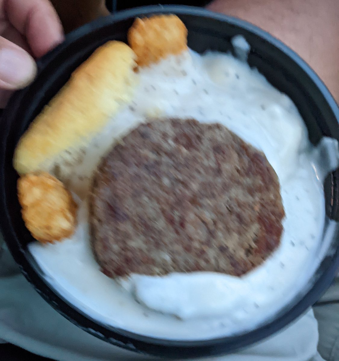 gmccauleysr's tweet photo. Expectation VS Reality

Great job @Whataburger!  Gotta love it when the guy at the drive thru rolls his eyes when you ask for a fork because you don't wanna eat that slop with your hands....and that's after they forgot it in the first place. https://t.co/JrwX2DM8c2