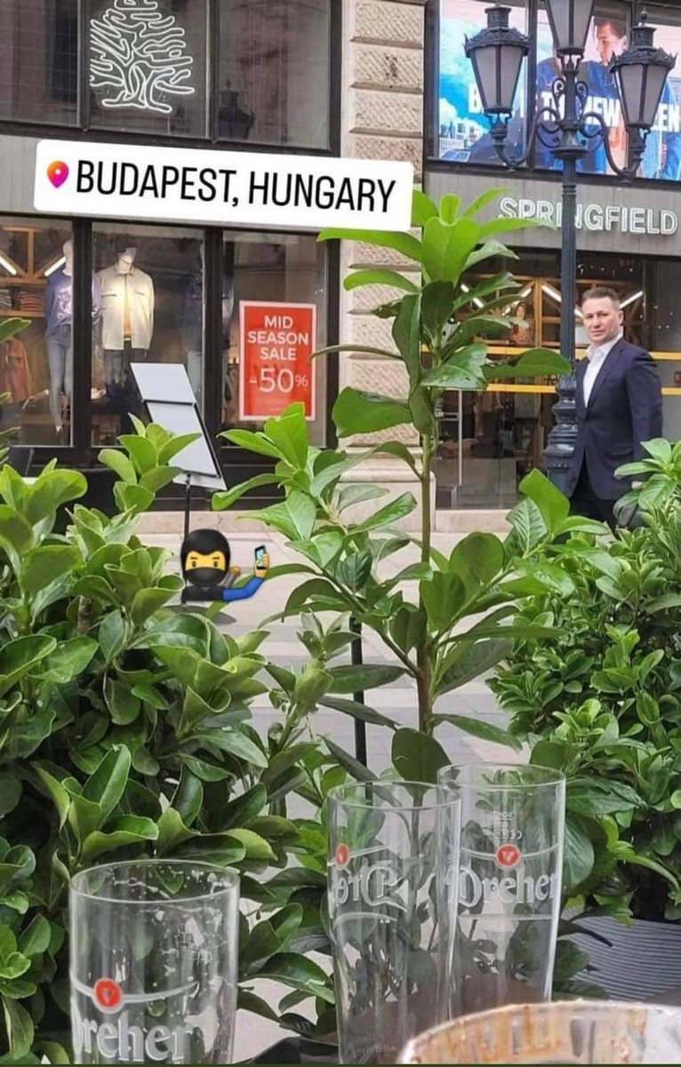 namilemaliot's tweet photo. Шефе од кога си отидовме ја и ти пропадна државичено...него остај тоа си се подмладил нема подочњаци и брчки од коа се разведе може се спаси ❤️ https://t.co/HxU84TEQgL