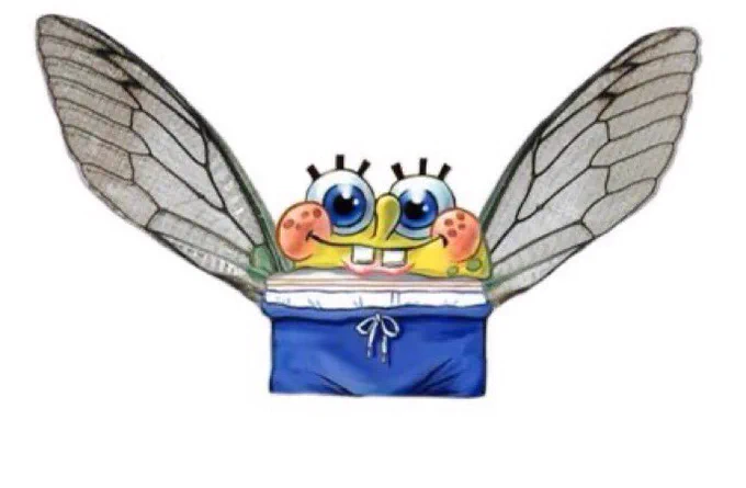Me trying to look tasty and delectable to birdseul so he carries me back to his nest 
