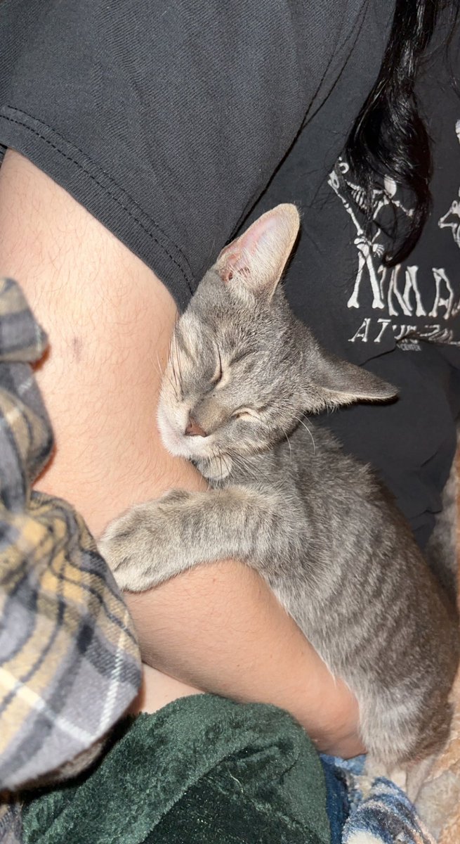 kenpoxx's tweet photo. @handicapheidi @kyleighhderrick Do we have the same cat?? https://t.co/aOsjun6dan