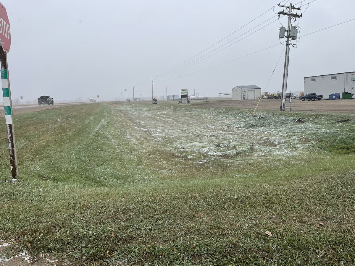 Doug Helm tweet media