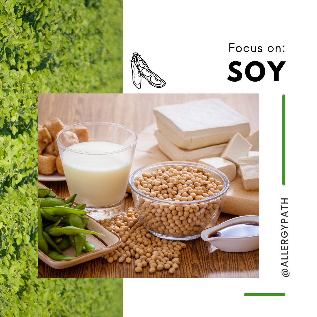 Did you know, soy is one of the top 9 most common food allergies. 

It is also a common ingredient in vegetarian dishes, vegan dishes, and many Asian inspired dishes. 

Check out our recent blog to learn more: ecs.page.link/776X2

#AllergyPath #FoodAllergies #AllergySupport