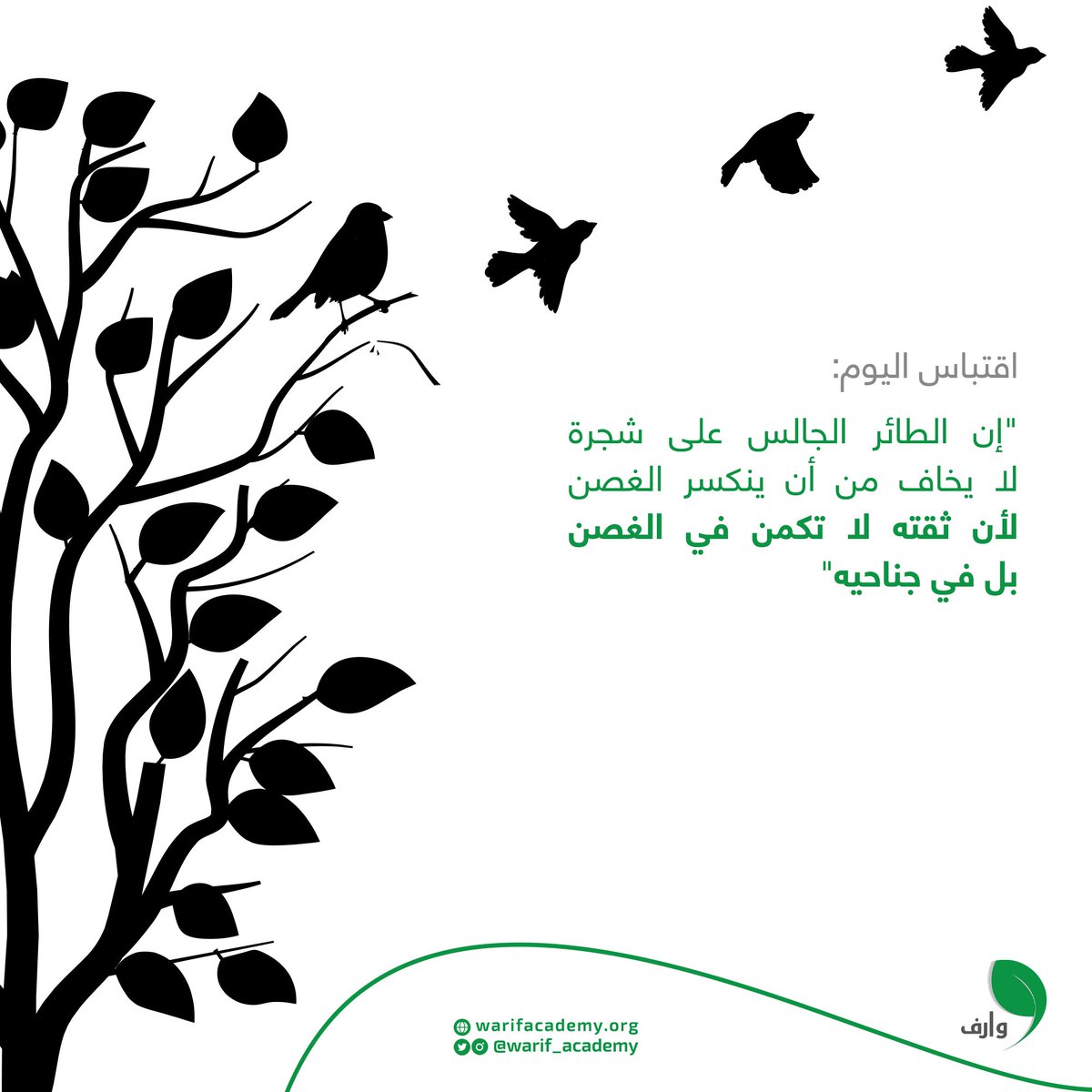 ليست في الغصن بل في جناحيك..

#أكاديمية_وارف #نقاط_القوة