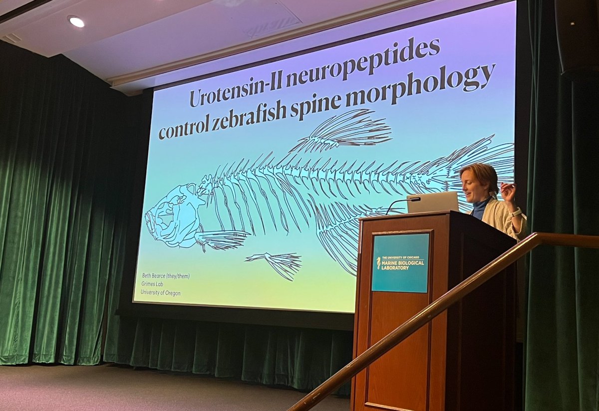 Daniel T Grimes tweet media