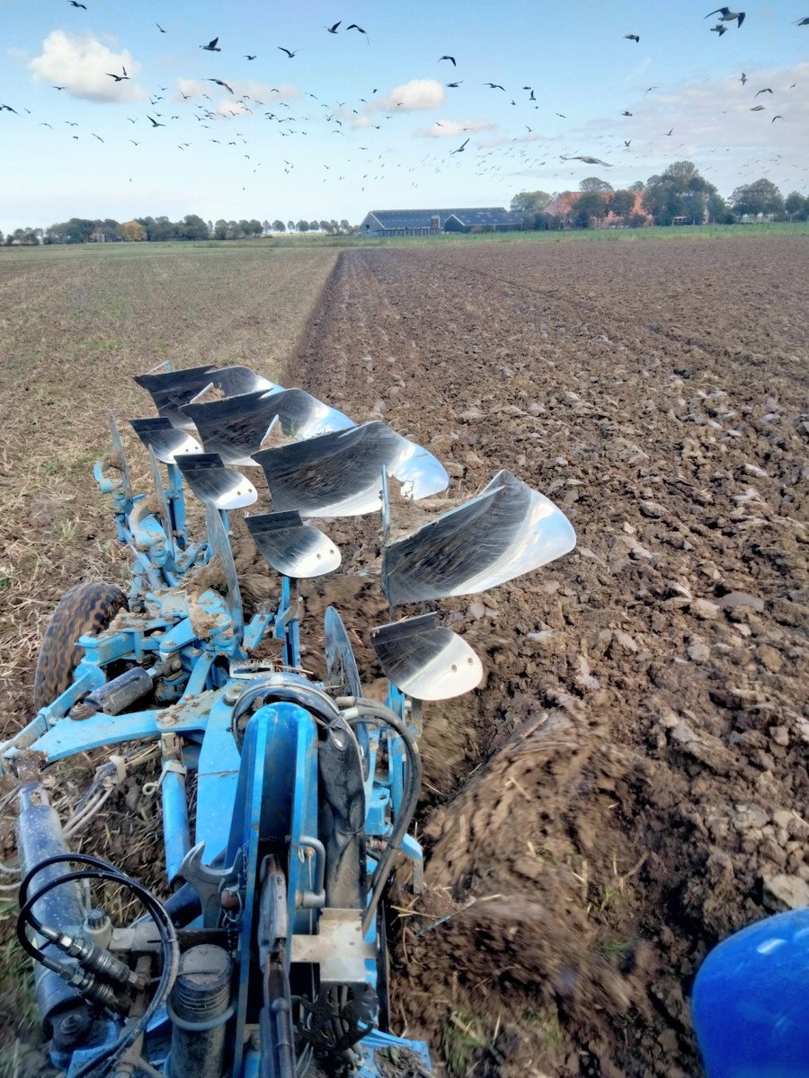bart_dalen's tweet photo. Met 10 kanten aan het perceel, waarvan 4 kromme kanten, 5 wenakkers en 5 geren in dit stuk kon de truckendoos aardig open ! Maar dat is juist het allermooiste aan dit werk💪💪 https://t.co/2ejfhS29dX