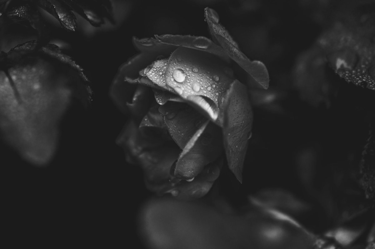 I take cool pics tweet media