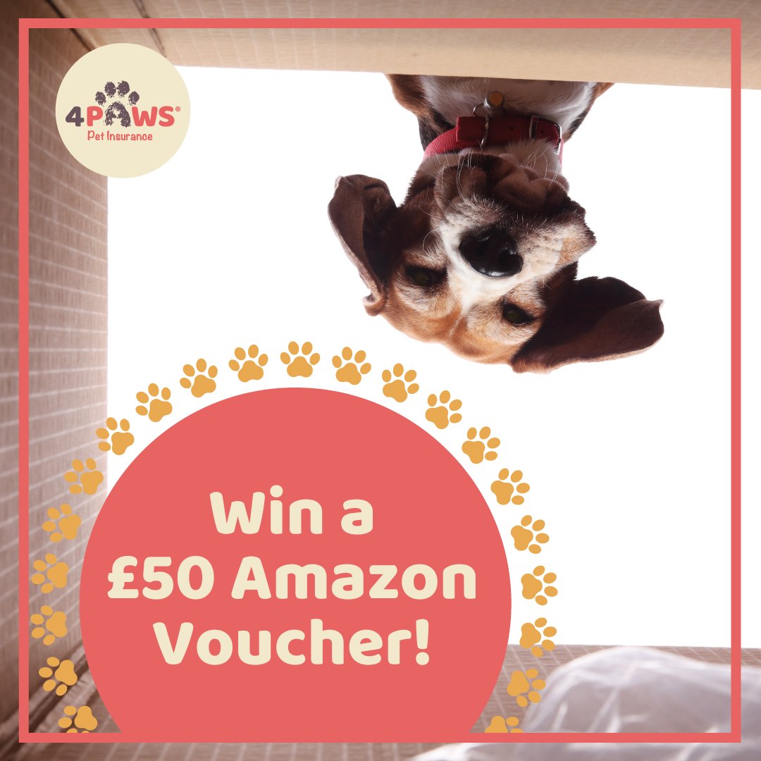 4paws_insurance's tweet photo. 🐾 COMPETITION TIME! 🐾 

We're giving you the chance to win a £50 Amazon e-gift card.

To enter;

🐾  Follow  @4paws_insurance
🐾  Like &amp; RT this post
🐾  Tag a friend (each tag = one entry so tag away)

Ends 30th October! 

 T&amp;Cs: https://t.co/QJgXeapPZI

#Win #Giveaway https://t.co/zao6l9O9LR