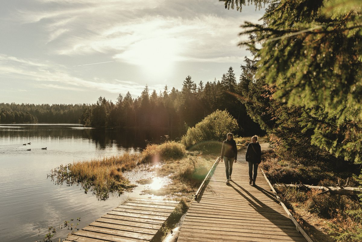 Jura & Trois-Lacs tweet media