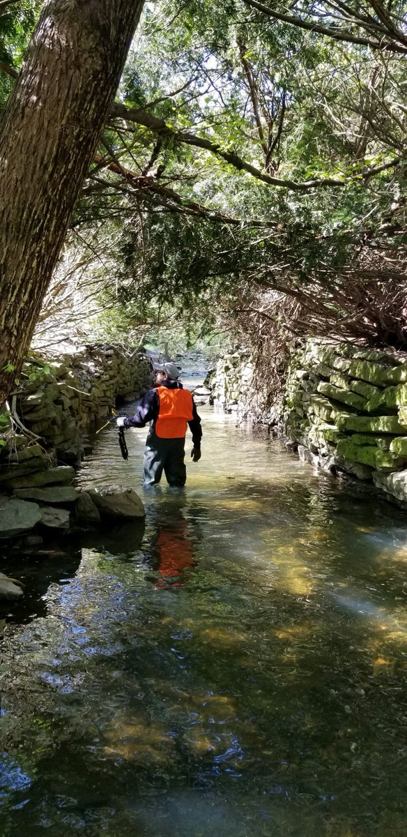 wospgh's tweet photo. Watersheds of South Pittsburgh’s First Annual Duck Race and Saw Mill Run Stream Cleanup is coming up on Saturday, October 29. Hope to see you there!

Learn more and register today: https://t.co/DiFcJH4Ocz https://t.co/O1nhIulXOh