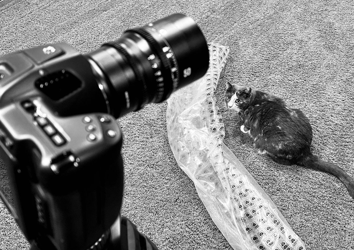 thefilmsilo's tweet photo. Shooting with a different AD today. https://t.co/AfXL2gVv4h