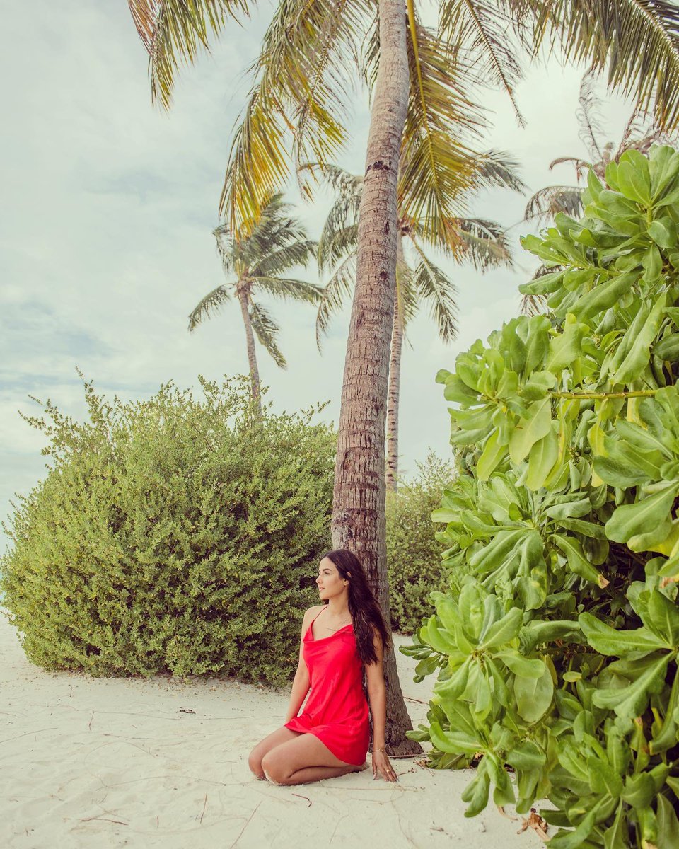 Nature admiring beauty #JasminBhasin 🌴🌻
@jasminbhasin @JasminBhasinJB #cinemediastars 
cinemediastars.com/tag/jasmin-bha…