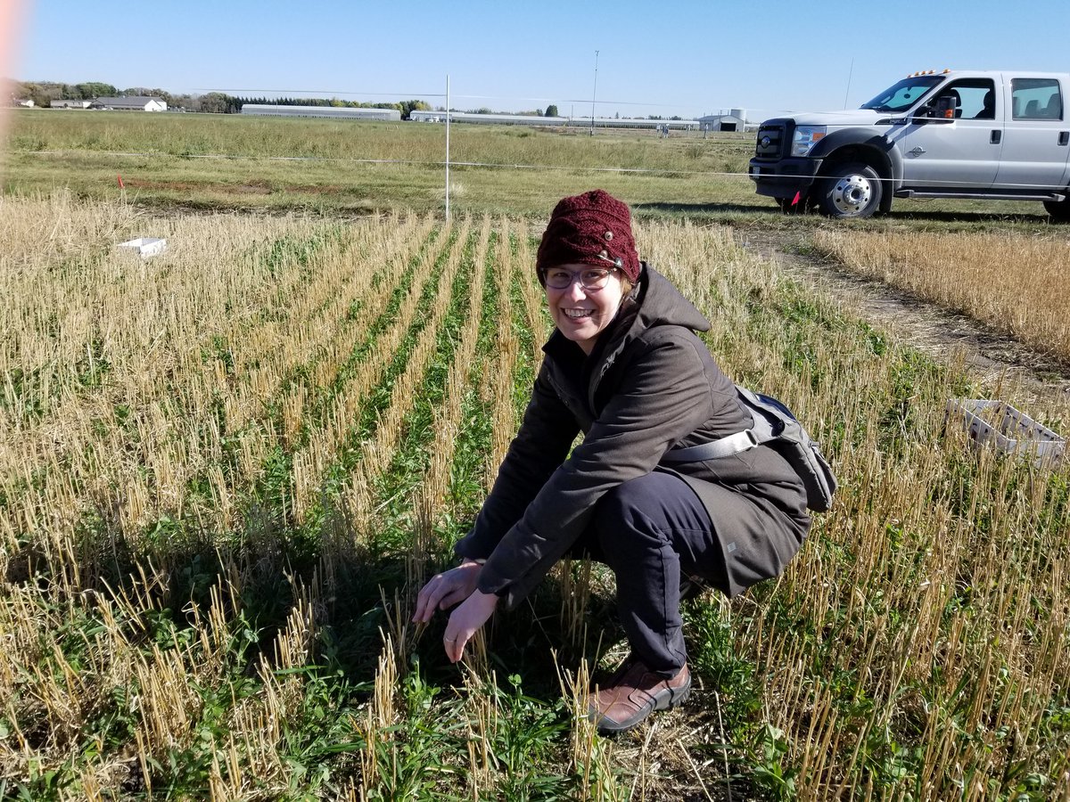 We are hiring ... this could be you! Looking for a full time Research Technician to join our team in the Farming Systems Lab at  the University of Manitoba. Use link below to apply. Posting closes Nov 3.

viprecprod.ad.umanitoba.ca/DEFAULT.ASPX?R…