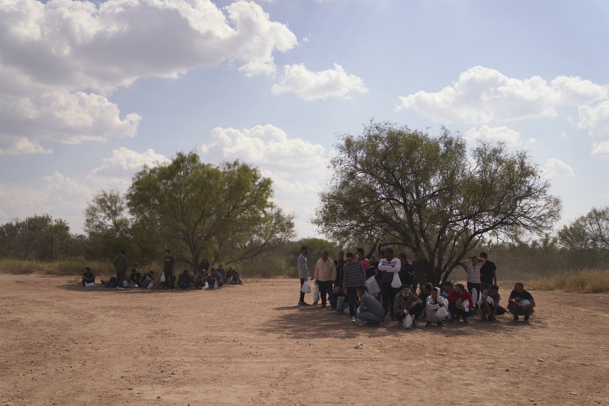 Allison Dinner tweet media