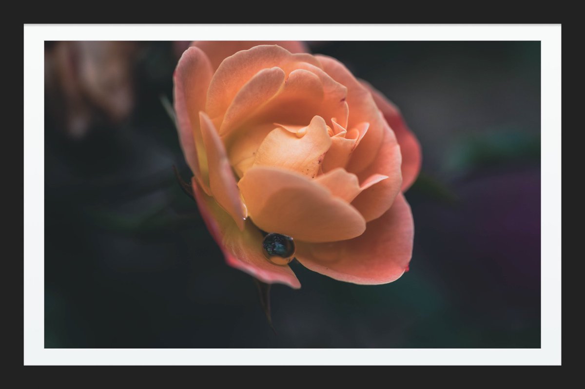 I take cool pics tweet media
