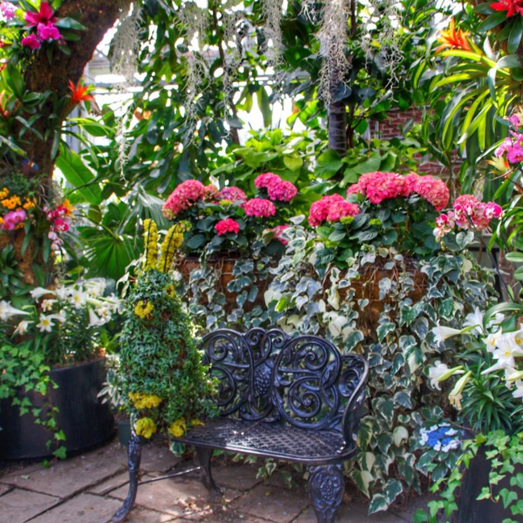 torontoverse's tweet photo. Our #POIoftheweek is Allan Gardens Conservatory! 

This place of interest and indoor botanical garden was built in 1858 — just 24 years after Toronto became a city and a full nine years before Confederation.

What plant from the greenhouse would you want to add to your home? 🍃 https://t.co/u6khWcrbTN