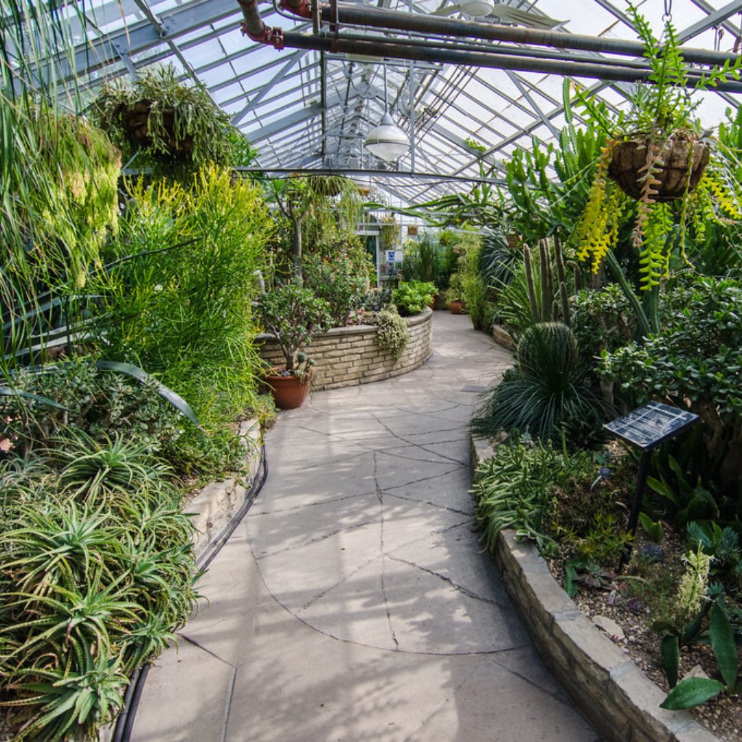 torontoverse's tweet photo. Our #POIoftheweek is Allan Gardens Conservatory! 

This place of interest and indoor botanical garden was built in 1858 — just 24 years after Toronto became a city and a full nine years before Confederation.

What plant from the greenhouse would you want to add to your home? 🍃 https://t.co/u6khWcrbTN