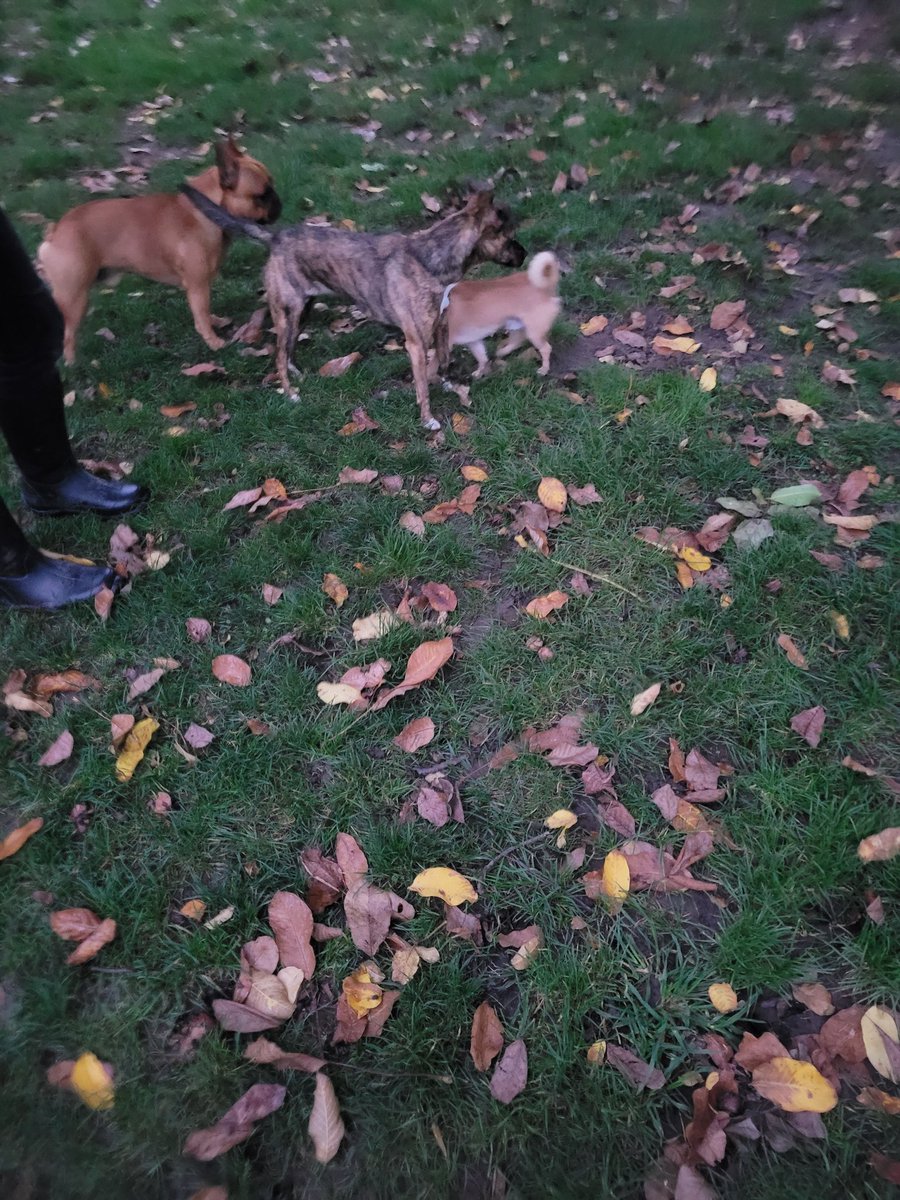 Ich war heute wieder spielen. War pfoll toll.