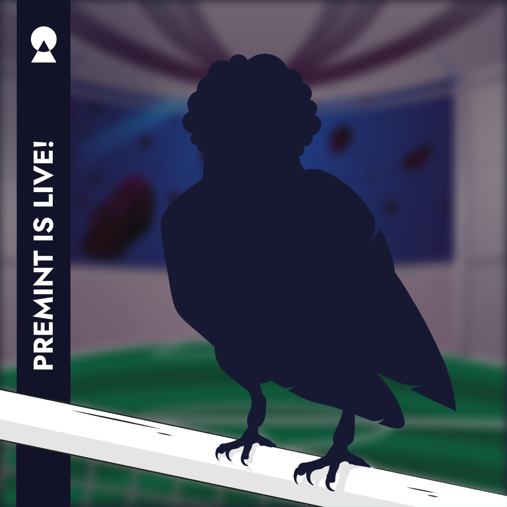 PREMINT raffle is now live:
premint.xyz/arabian-falcon…

-SUPPLY: 1001 
-PRICE: FREE MINT
-MINT DATE: mid-November

Footy Arabian Falcons are ready for the 2022 FIFA WORLD CUP in Qatar.