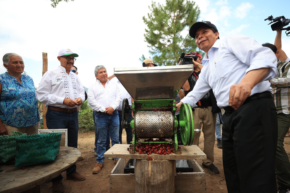presidenciaperu's tweet photo. En el marco de la segunda Reforma Agraria, el presidente de la República @PedroCastilloTe recorrió las plantaciones de cacao y café en el Fundo "Niño Jesús" en Moyobamba, región San Martín. https://t.co/SSScC55lys