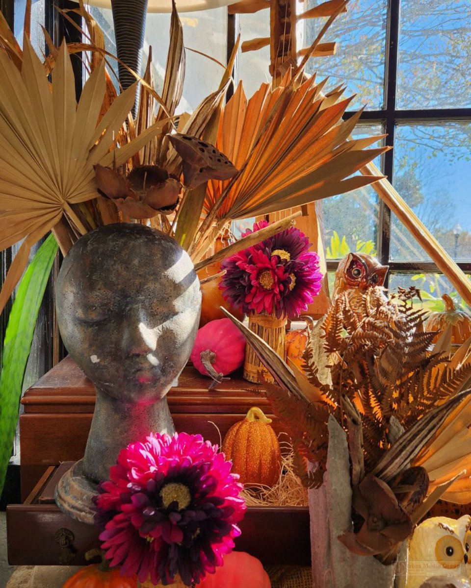 FoundlingsEmp's tweet photo. Fall at Foundlings...

Friday and Saturday 10 am - 6 pm
Sunday 12pm - 6 pm

#Alabama #UniqueGifts #ShopSmall #IndianSpringsVillage #ChelseaAL #InvernessAL #GreystoneAL #HooverAL #LoganMartin #LakeMartin #LayLake #PellCityAL #AlabasterAL #ShoalCreek #Vintage #FallDecor https://t.co/ReWslJ2XLo
