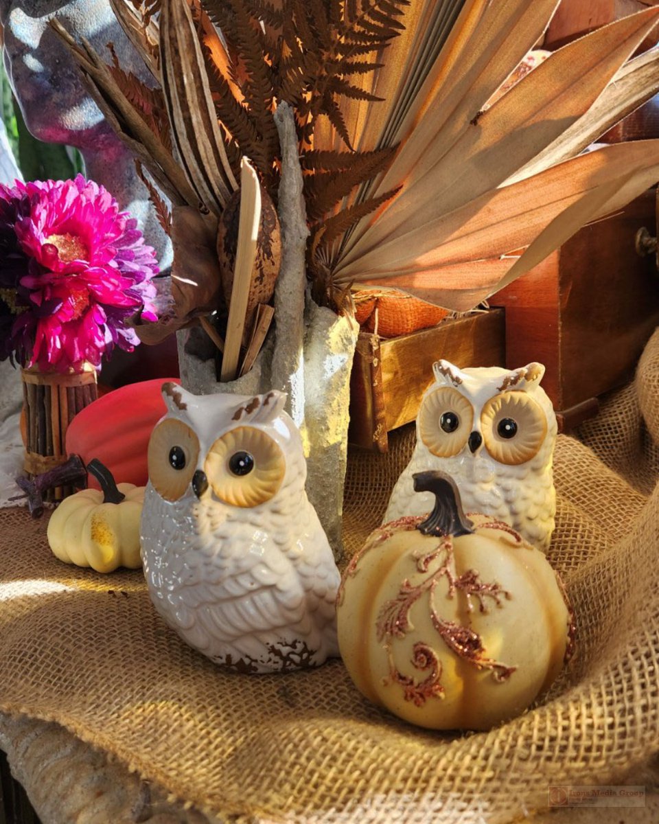 FoundlingsEmp's tweet photo. Fall at Foundlings...

Friday and Saturday 10 am - 6 pm
Sunday 12pm - 6 pm

#Alabama #UniqueGifts #ShopSmall #IndianSpringsVillage #ChelseaAL #InvernessAL #GreystoneAL #HooverAL #LoganMartin #LakeMartin #LayLake #PellCityAL #AlabasterAL #ShoalCreek #Vintage #FallDecor https://t.co/ReWslJ2XLo